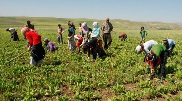 Rusya’dan Türk üreticiye çağrı