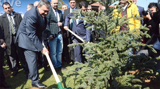 Seçim öncesi fidan tartışması