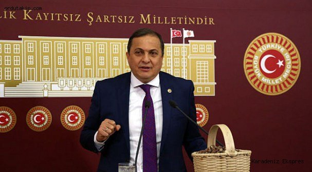 Seyit Torun: Biz artık her sene fındığın sorunlarını konuşmayalım