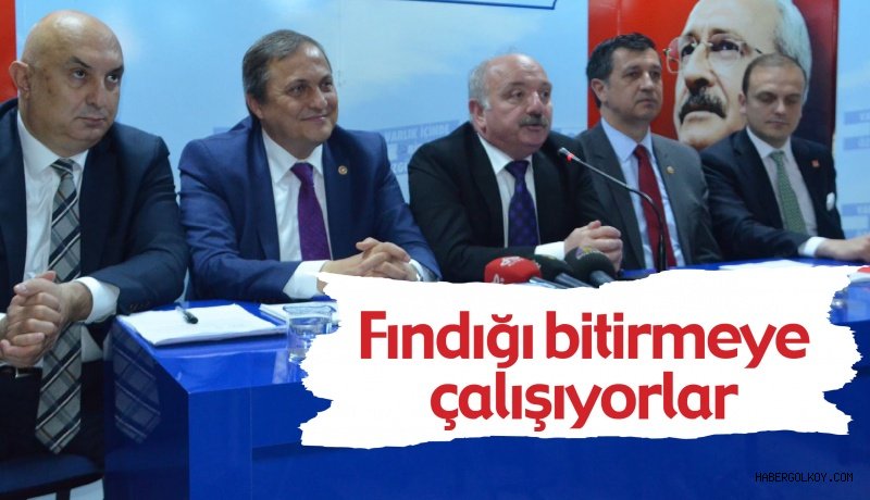 Seyit Torun: Fındığı bitirmeye çalışıyorlar