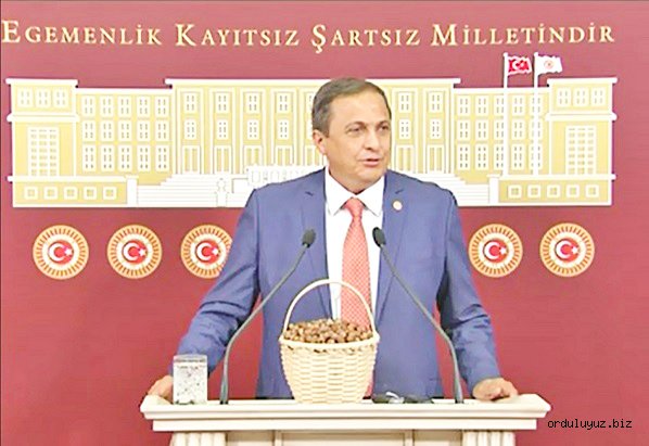 Seyit Torun: Lütfen fındık üreticisine sahip çıkın