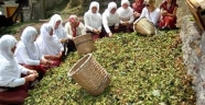 1 MAYIS İŞÇİ ve EMEK BAYRAMI KUTLU OLSUN