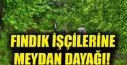 SAKARYA’DA TEHLİKELİ GERGİNLİK: Fındık işçilerine meydan dayağı attılar