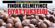 FINDIK GELMEYİNCE FİYAT YÜKSELDİ