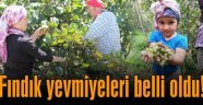 FINDIK YEVMİYESİ BELLİ OLDU