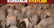 Kurban fiyatları 2017 ne kadar oldu