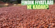  Fındık fiyatları ne kadar?