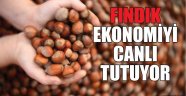 FINDIK EKONOMİYİ CANLI TUTUYOR