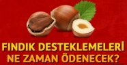 2018 Fındık destekleme ödemeleri veriliyor!.. İşte ödeme planı