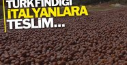 Türk fındığı İtalyanlara teslim