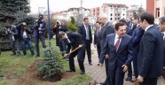 Ahmet Davutoğlu Ordu'da Fidan dikti