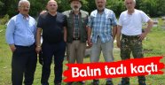 Bu Sene Balın tadı kaçtı