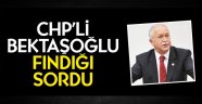 CHP’li Bektaşoğlu fındığı sordu