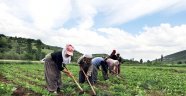 Çiftçiye Hibe ve Kredi Desteği Başladı