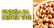 Fındığa da destek var!