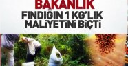 FINDIĞIN MALİYETİ NE OLDU?