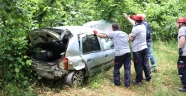 Fındık bahçesine devrilen otomobilin sürücüsü yaralandı