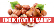 Fındık fiyatı bugün kaç para oldu?