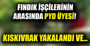 Fındık işçilerinin arasında PYD üyesi!