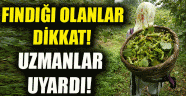  Fındık üreticilerine önemli uyarı…