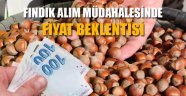 Fındıkta Müdahale Alımı ve Fiyat Beklentisi