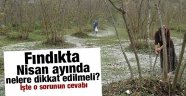 Fındıkta Nisan ayında nelere dikkat edilmeli?