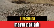 Giresun'da mayın patladı, koyun sürüsü telef oldu!