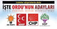 İŞTE ORDU MİLLETVEKİLİ ADAYLARI