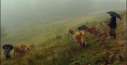 Karadeniz kıyılarına metrekareye 100 kiloya kadar yağış uyarısı