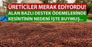 KESİNTİNİN NEDENİ BELLİ OLDU