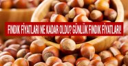 Mart Ayı Fındık Fiyatları Ne Kadar? İl İl Fındık Fiyatları