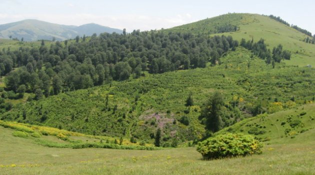 Tarım Arazileri Satışları İçin Son Gün 27 Nisan