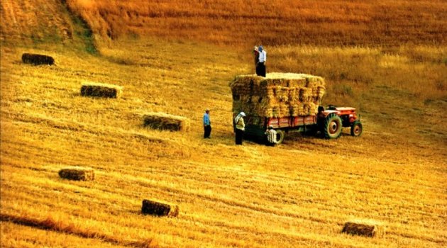 Tarım yatırımları için 150 milyon TL ödenek ayrıldı