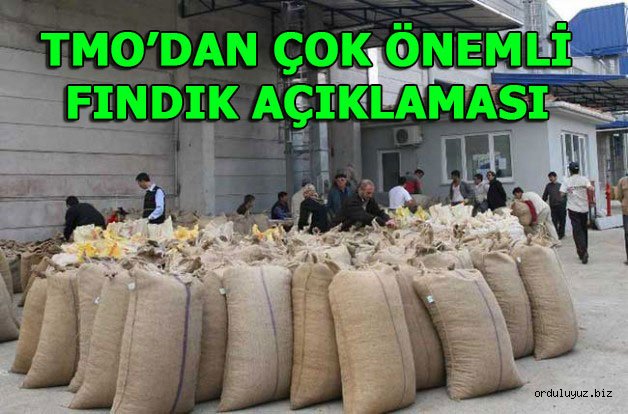 TMO'dan Fındık Fiyatları ve Alımı İçin Açıklama Geldi