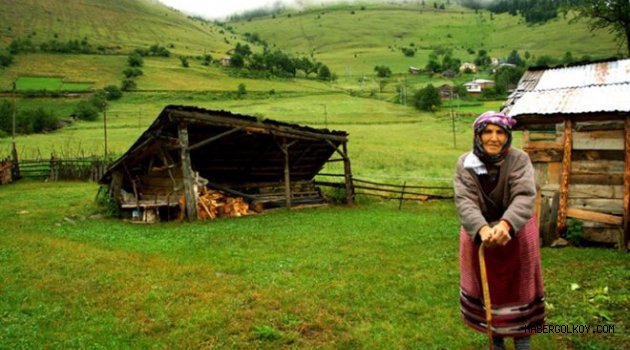 Tüik: 'Doğu karadeniz nüfusu düşecek"