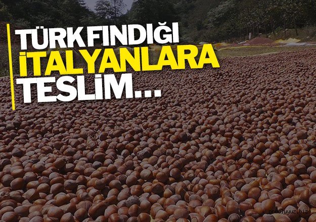 Türk fındığı İtalyanlara teslim