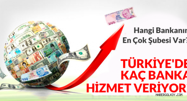 Türkiye'de Kaç Banka Faaliyet Gösteriyor?