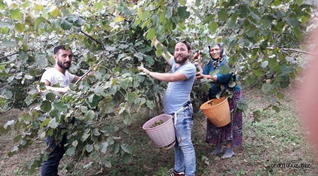 Üretici Maliyetine Fındık Satmaz