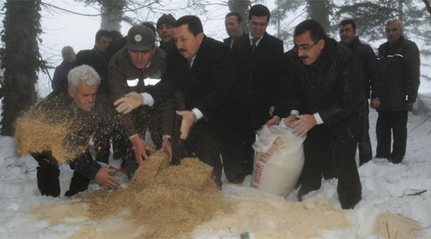 Yayla Av Sahası, Türkiye’de sadece Ordu’da