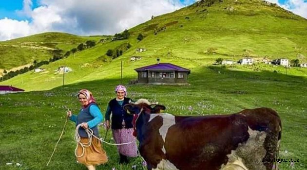  Yemyeşil doğası, yeşille mavinin buluştuğu sahilleri, yaylaları ve zengin mutfağıyla Ordu sizi çağırıyor