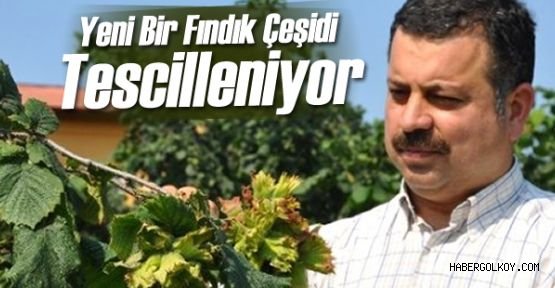 Yeni çeşit fındık: 'Allahverdi!'