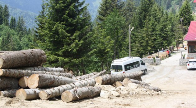 Yeşil Yol için yüzlerce ağaç kesilmiş