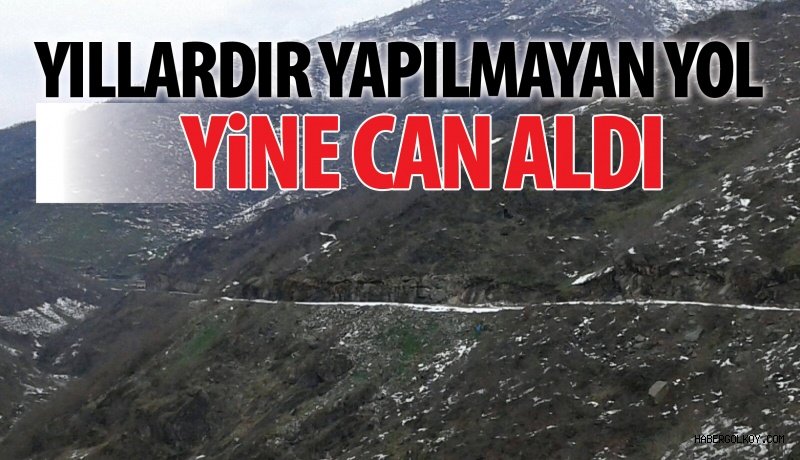 Yıllardır Yapılmayan Fatsa-Çatalpınar-Direkli-Gölköy Yolu Yine Can Aldı