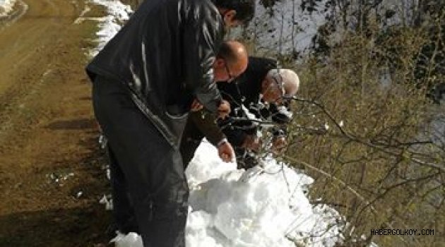 ZİRAİ DON olayından sonra arazide hasar tespit çalışması başladı